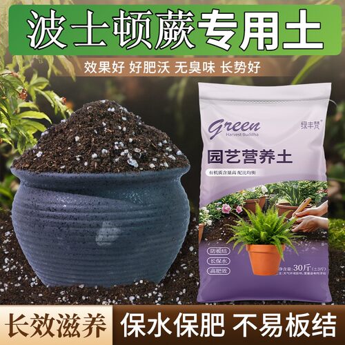 波士顿蕨适用有机土根壮苗好高温灭菌家庭园艺包邮天然防徒长观花