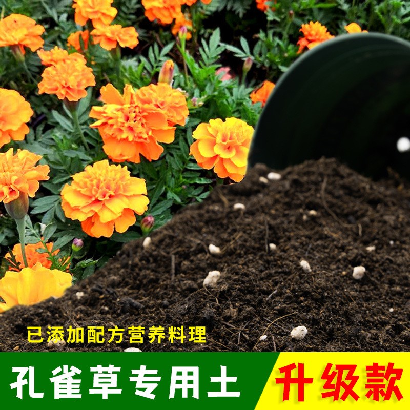 孔雀草专用土孔雀草营养土有机土肥料家用种植土盆栽种花养花泥土