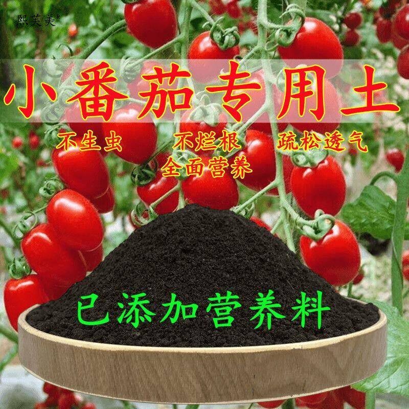 小番茄专用土番茄专用营养土盆栽养花种花土通用种植土壤有机肥料