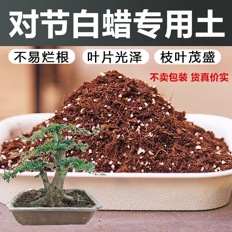 对节白蜡家用泥炭土基质不烂根腐殖泥炭土花园加有机肥疏松透气