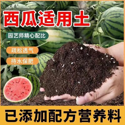 种西瓜育苗专用营养土基质肥培养土西瓜苗土壤专用肥料泥土种植土