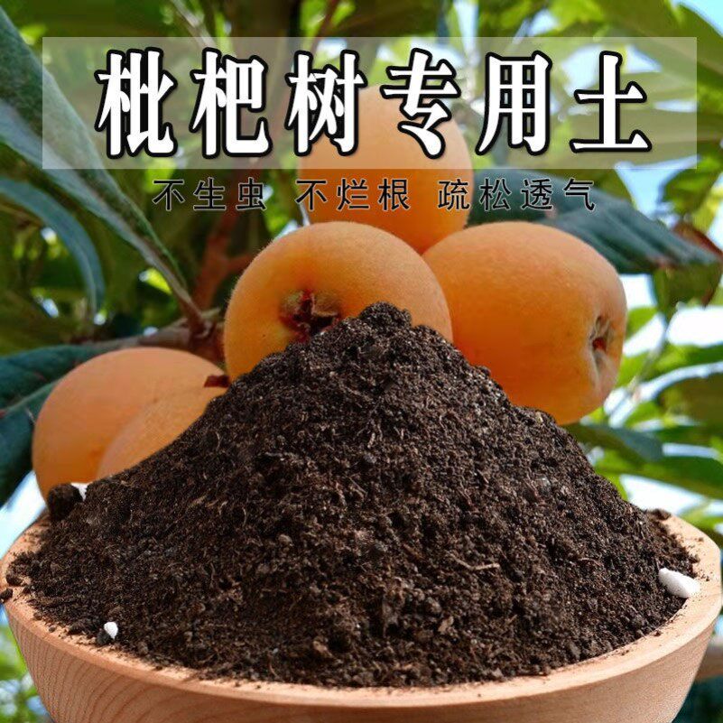 枇杷树专用土枇杷树专用营养土盆栽土养花种花土通用种植土壤肥料