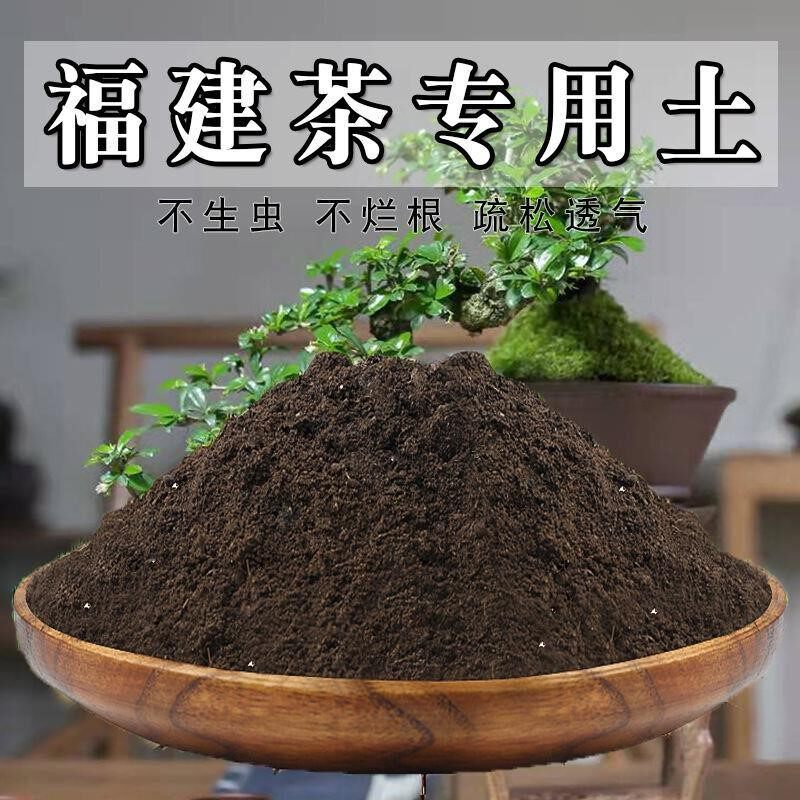 福建茶专用土福建茶土盆栽营养土通用种花养花泥土壤种植土有机肥