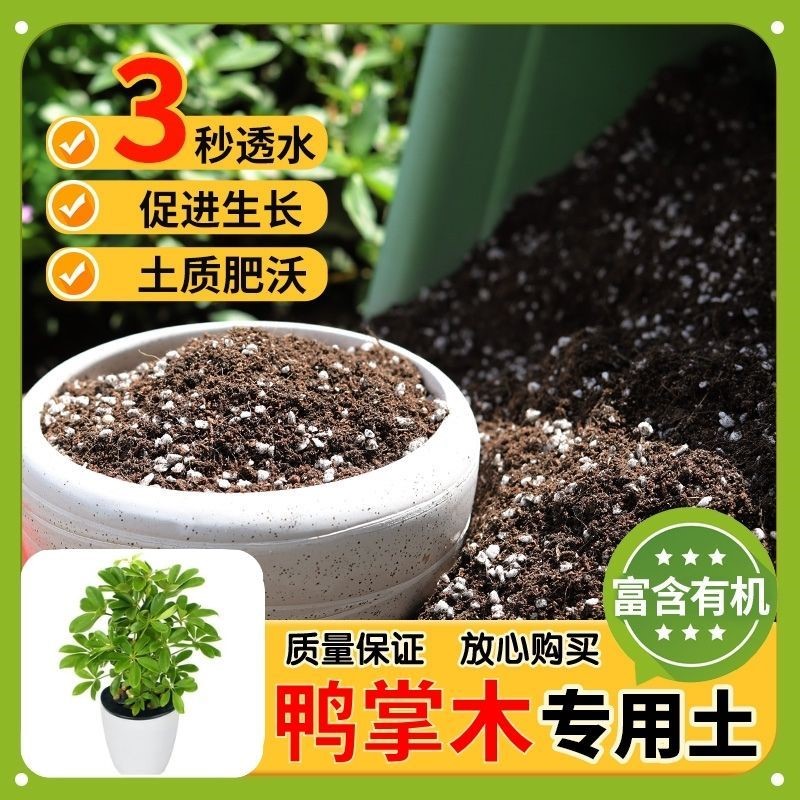 【鸭掌木专用土】家用盆栽土加生根粉绿植专用有机植物营养肥料土