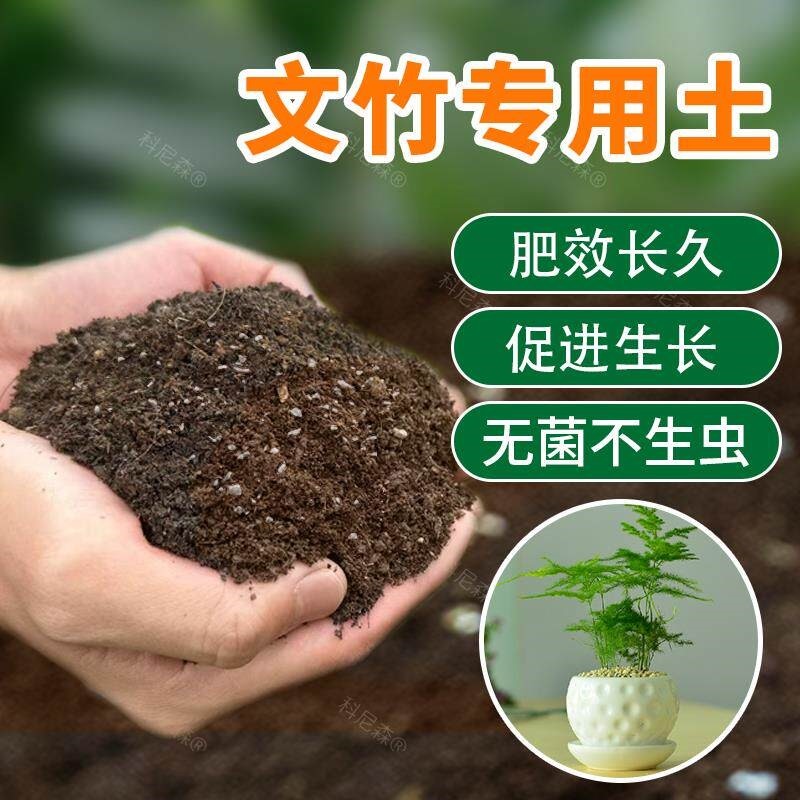 文竹专用土花土营养土种养文竹培养土壤庭院盆栽土花土种植土肥料