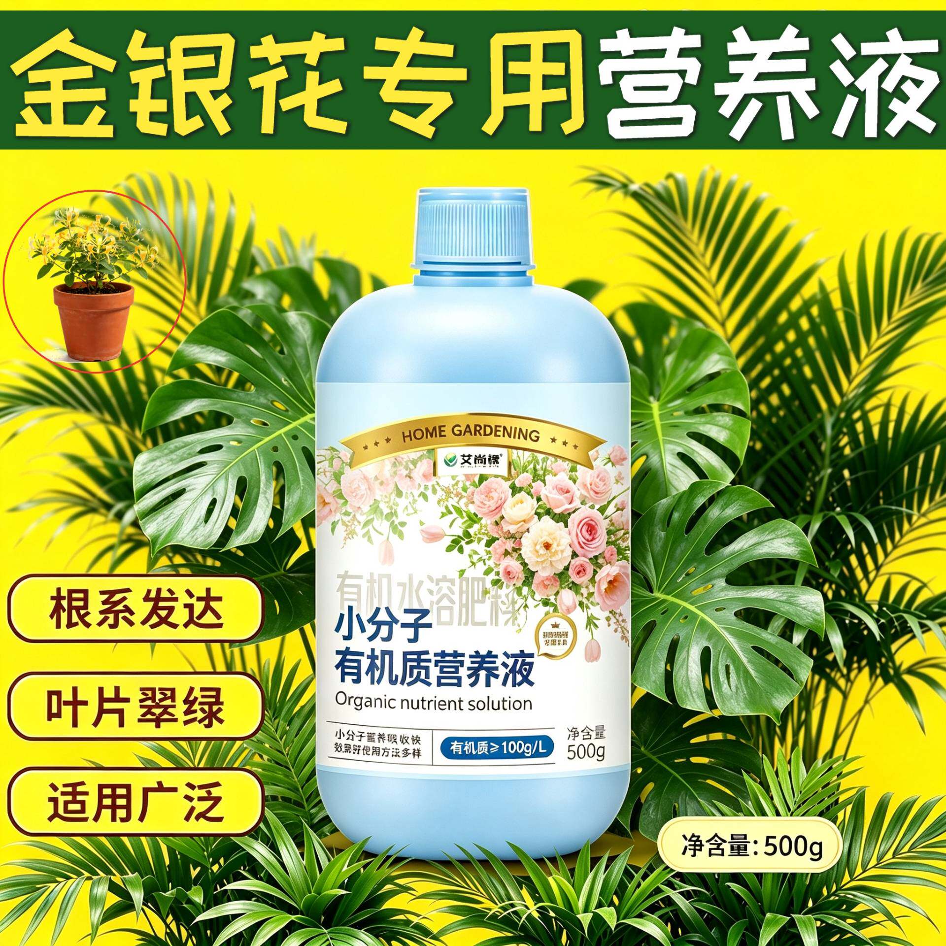 金银花专用水培型营养液小分子有机质快速吸收叶绿花艳盆栽家用