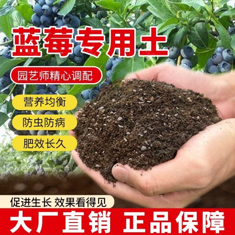 蓝莓专用土家庭种植泥土蓝莓营养土绿植种植土有机土种树果树土壤