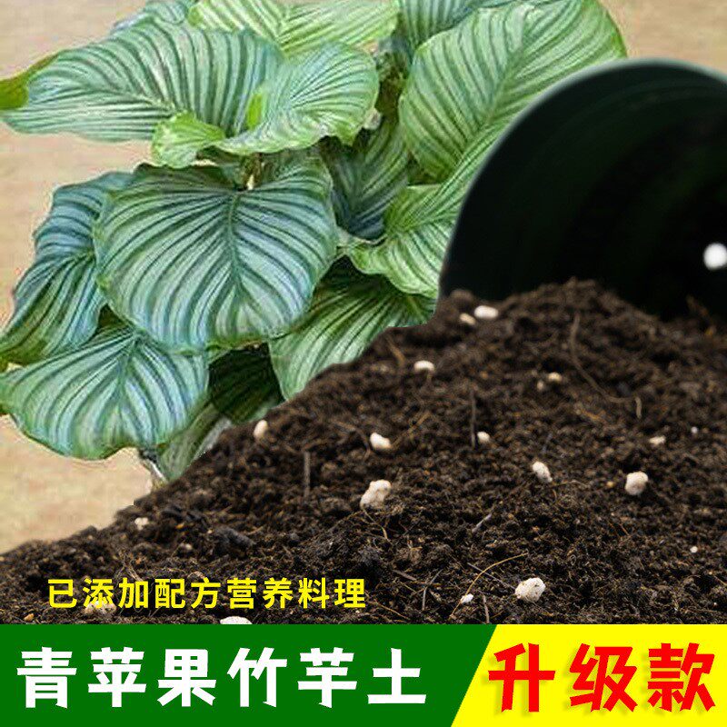 青苹果竹芋专用土有机土肥料家用种植土青苹果营养土盆栽养花包邮