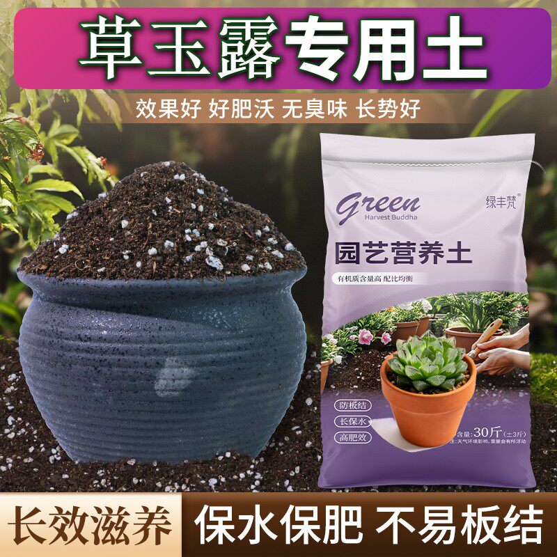 草玉露专用腐叶土高温灭菌园艺加有机肥进口绿叶观花泥炭基质扦插