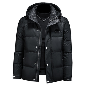 货号66529 P395 男士羽绒服90绒 钱塘大厦6019镂空图图片
