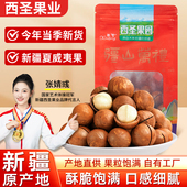 新疆西圣夏威夷果150g坚果手剥大颗粒袋装 奶油味健康新货