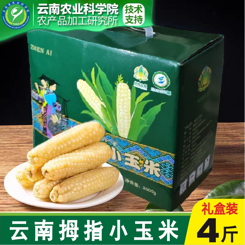 云南拇指小玉米香甜软糯版纳特产