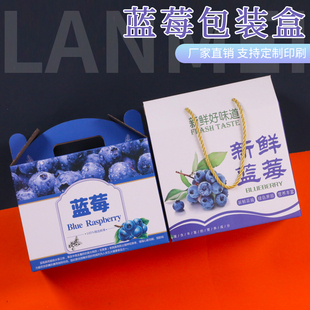 蓝莓礼盒包装盒高档带手提袋装1斤2斤蓝莓礼品盒批发水果空盒定制