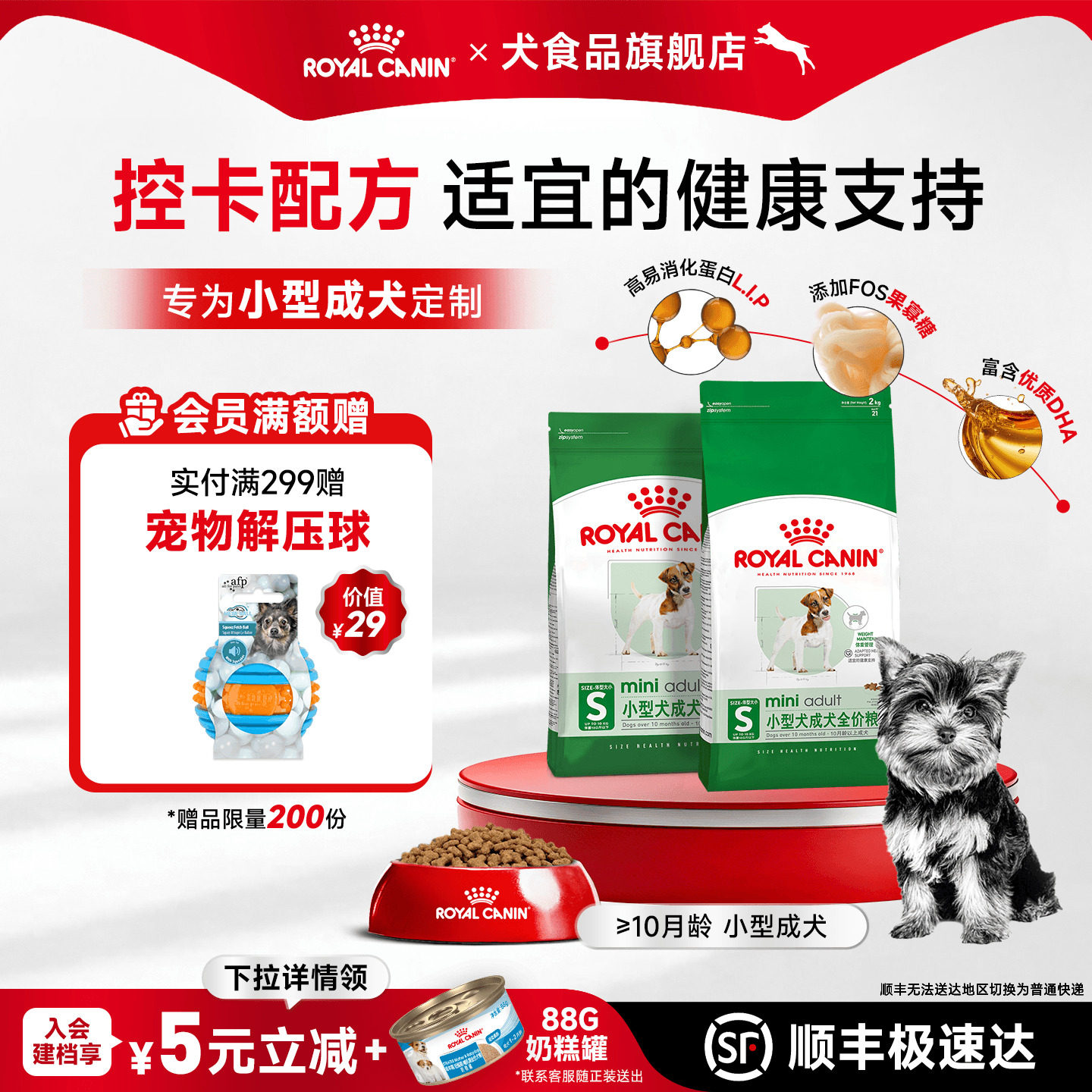 通用型比熊博美贵宾泰迪皇家狗粮图片
