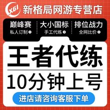 王者荣耀代练陪玩排位巅峰赛上分包大小国标金标省标指定英雄战力