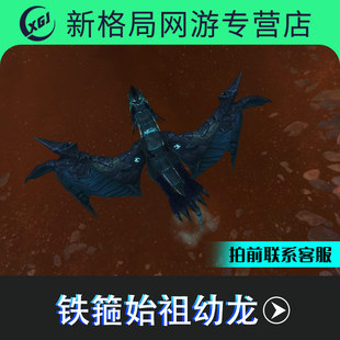 魔兽世界手工成就坐骑奥杜尔团队的荣耀铁锈始祖幼龙铁箍副本两只