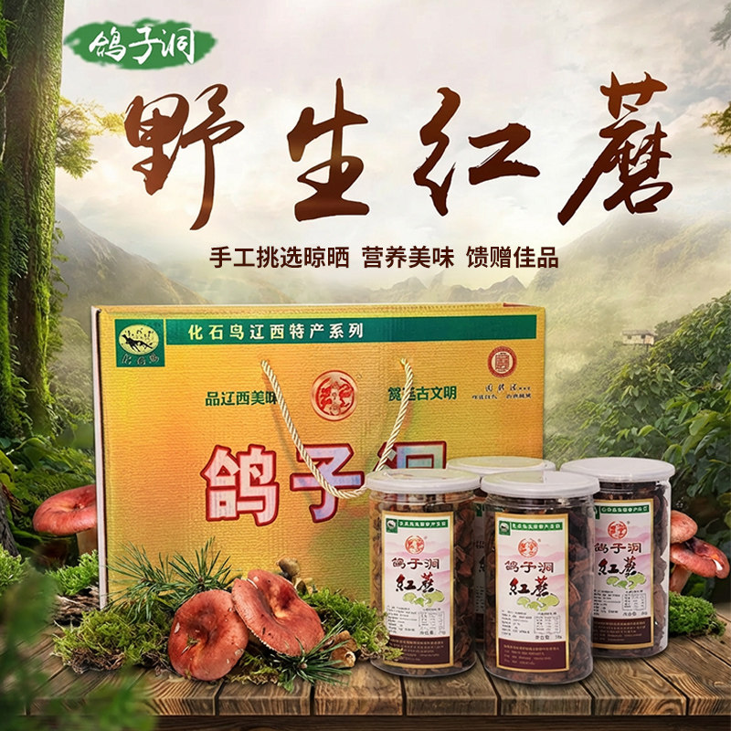 辽宁特产鸽子洞东北特产野生红蘑榛蘑松蘑草蘑营养野山菌干货朝阳