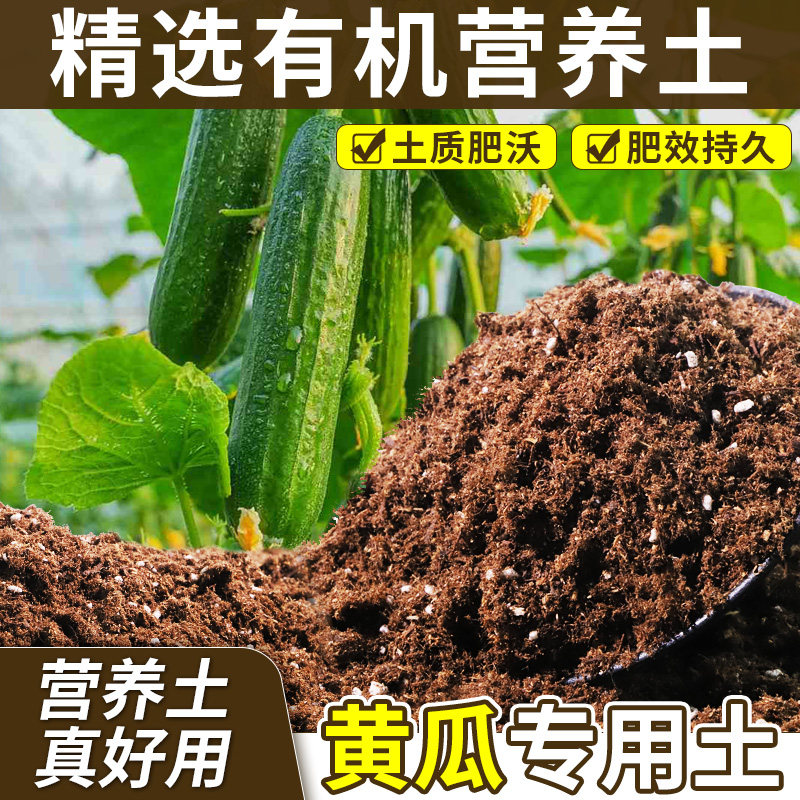 黄瓜专用营养土养分持久绿萝盆栽土无菌稳定土团试用装球根防烂根