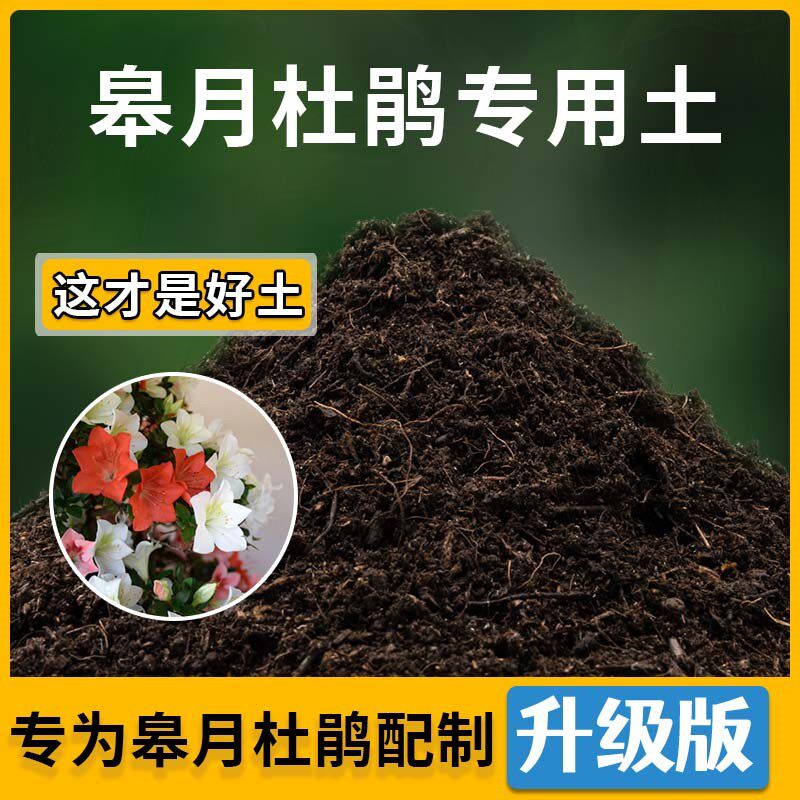 皋月杜鹃专用土皋月杜鹃营养土家用种植土壤家庭盆栽种花花有机土