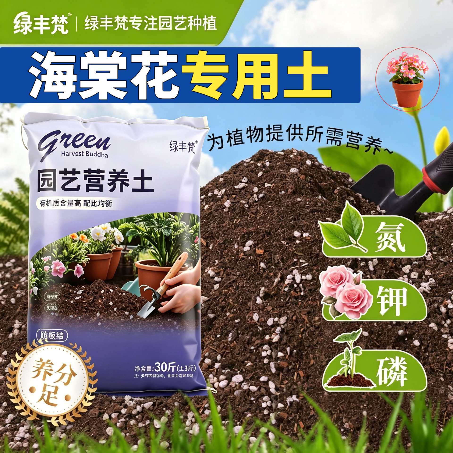 海棠花专用腐叶土疏松透气家庭园艺加牛粪天然防黄叶球根泥炭土