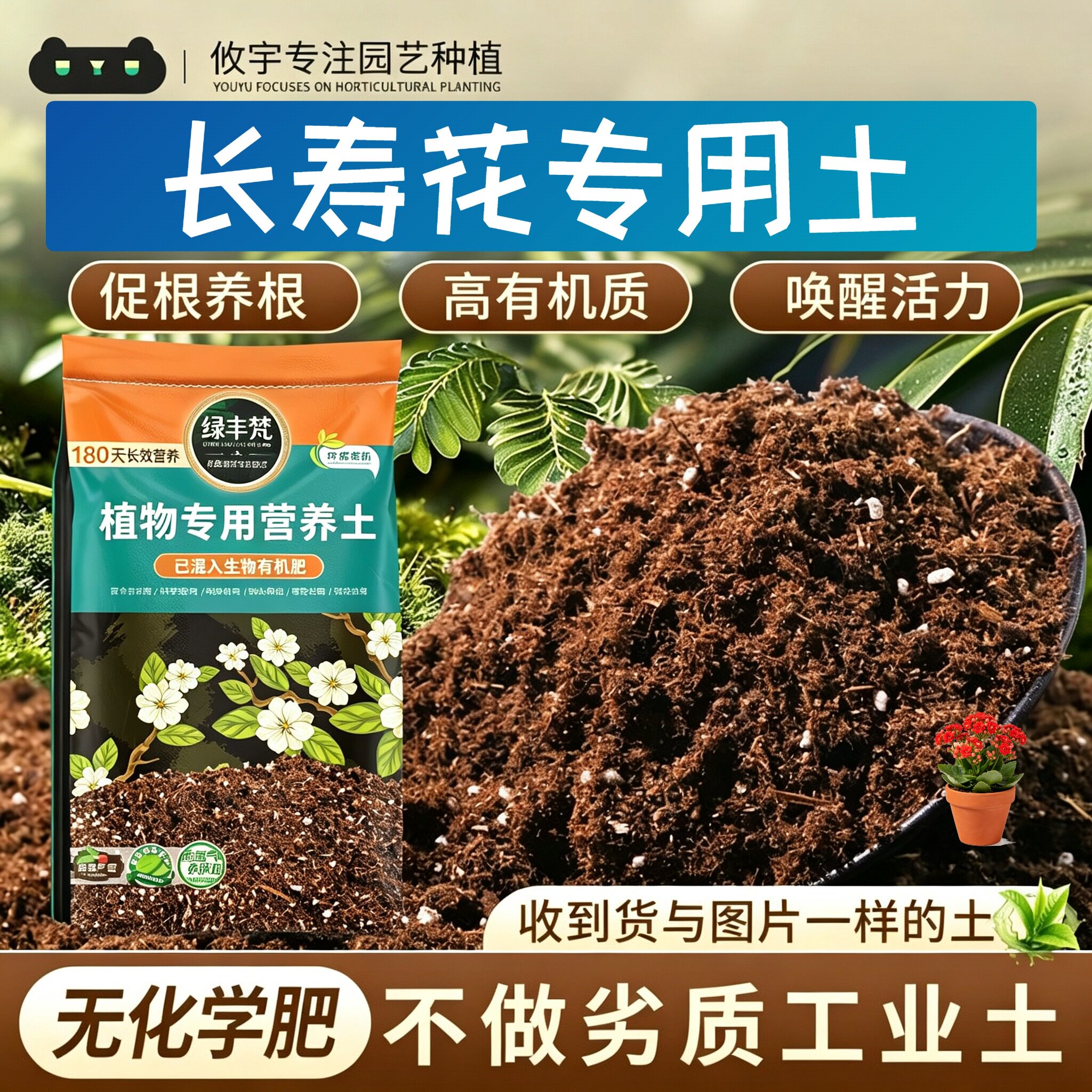 长寿花专用花土保水保肥绿萝种植土细腻均匀保水锁水试用装喜酸
