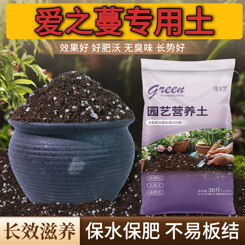 爱之蔓适用含泥炭不闷根保水锁肥阳台包邮进口防黄叶球根园艺优质