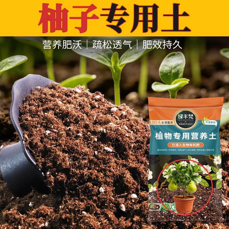 柚子专用营养土配方土绿叶防徒长高压嫁接种植土扦插根壮苗好屋顶