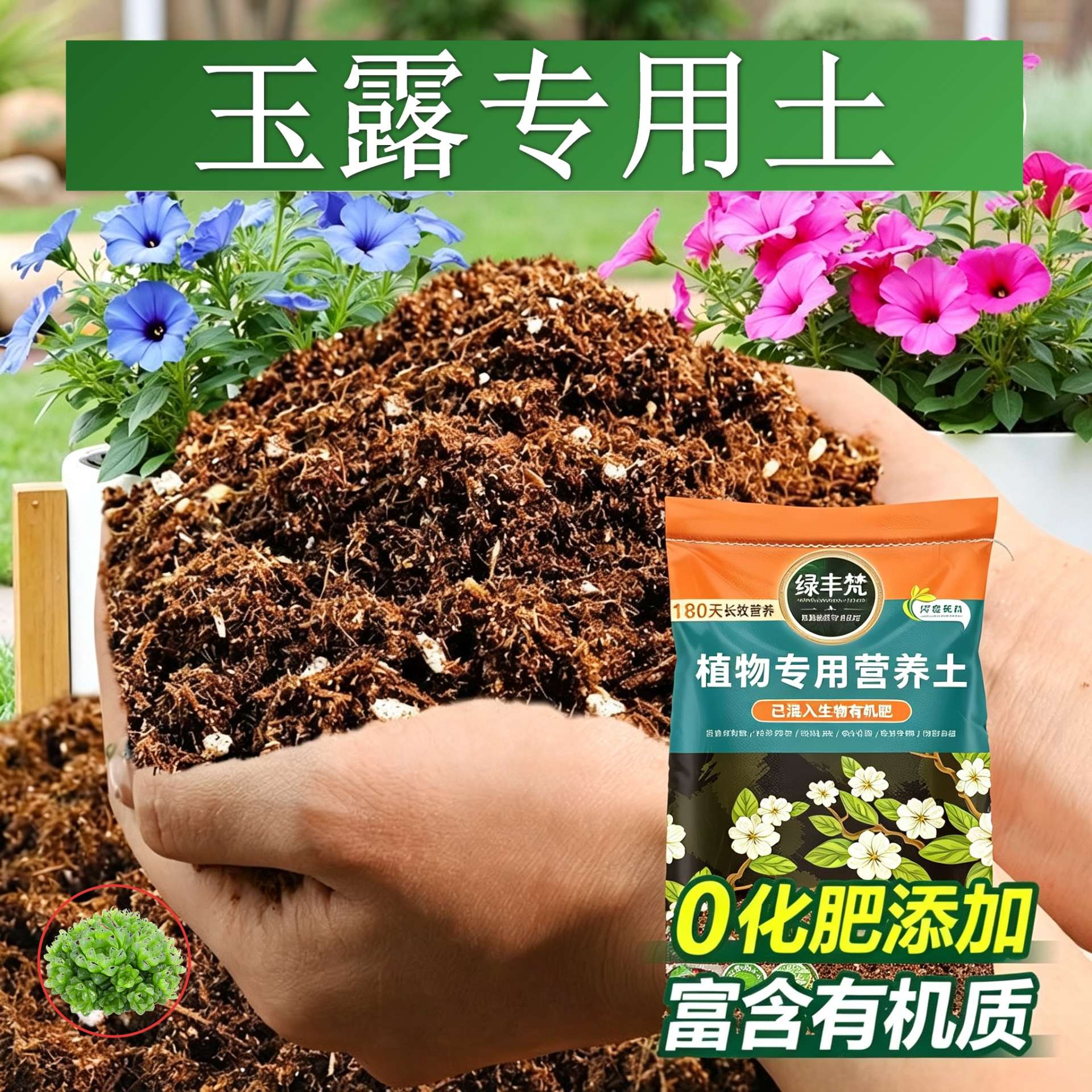 玉露适用配方土科学配比月季种植土轻量基质优化根际开袋即用多肉