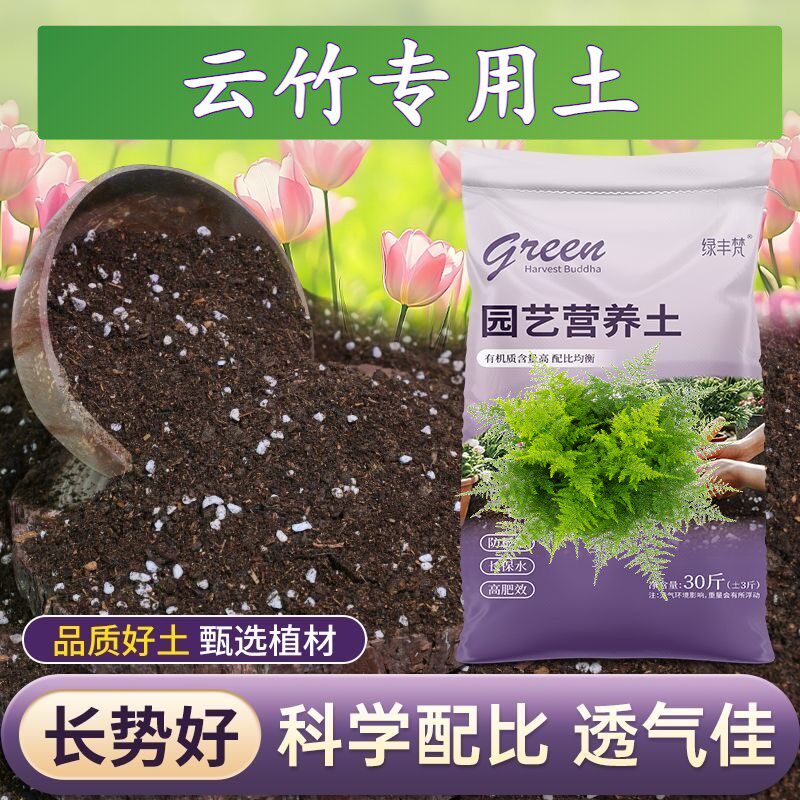 云竹适用含泥炭不板结扦插加有机肥精选防黄叶观叶阳台种植土盆栽