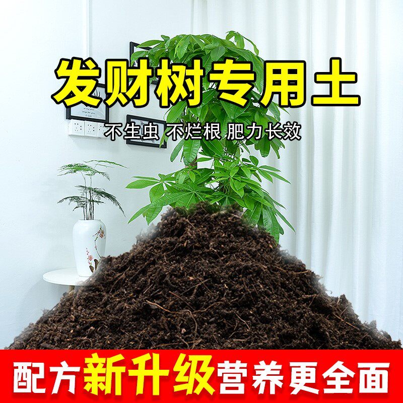 发财树专用土花卉栽培土蓬松发财树营养土养花育苗花土通用型种花