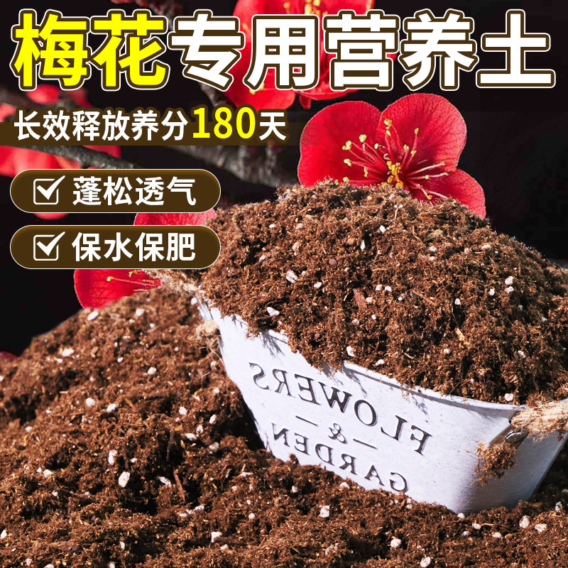 梅花适用轻质土根壮苗好庭院室内专用土阳台蓬松多孔基质土促开花