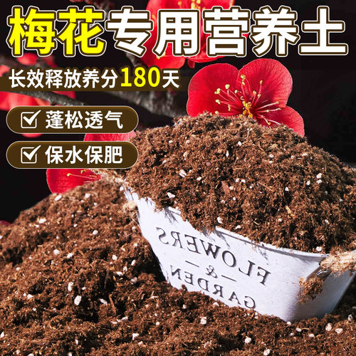 梅花适用轻质土根壮苗好庭院室内专用土阳台蓬松多孔基质土促开花