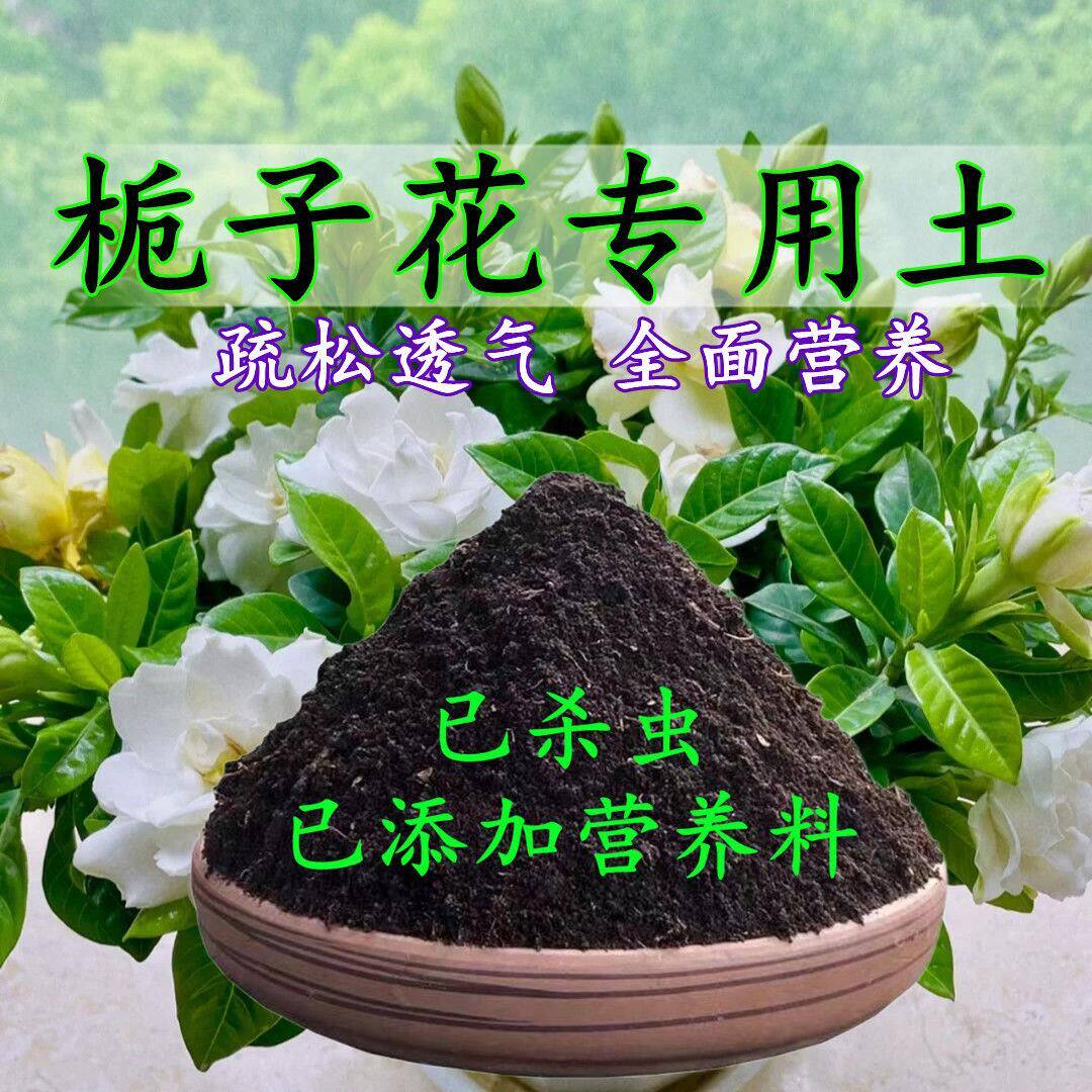 栀子花专用土栀子花专用营养土盆栽养花种花土通用种植土有机肥料