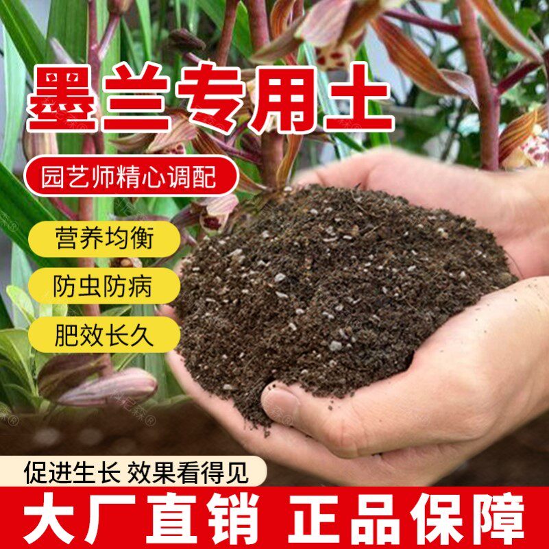 墨兰专用土肥料养花园艺种花蓬松绿植黑土盆栽土壤墨兰营养土椰砖