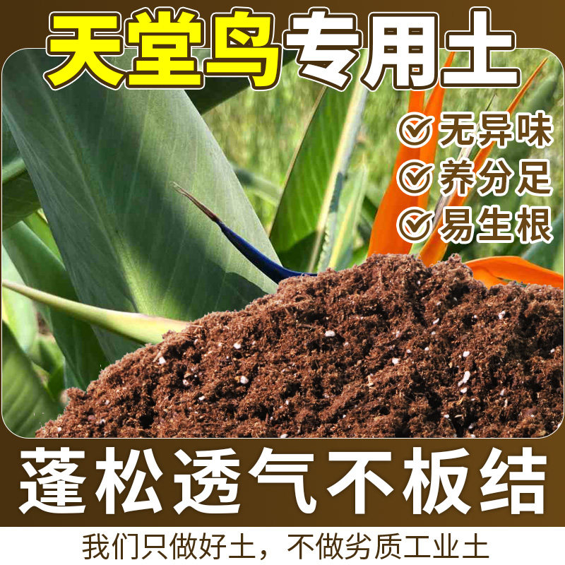 天堂鸟适用基质不板结扦插营养土原生材质增强孔隙无草籽木本屋顶