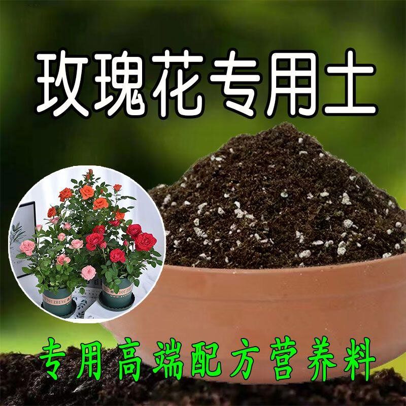 种玫瑰花专用土营养土盆栽大马士革玫瑰花土壤泥土养花种植土蔷薇