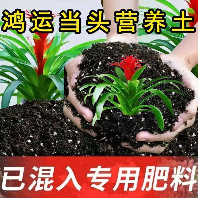 鸿运当头专用土酸性花卉土通用营养土种植土有机土绿植园艺盆栽土