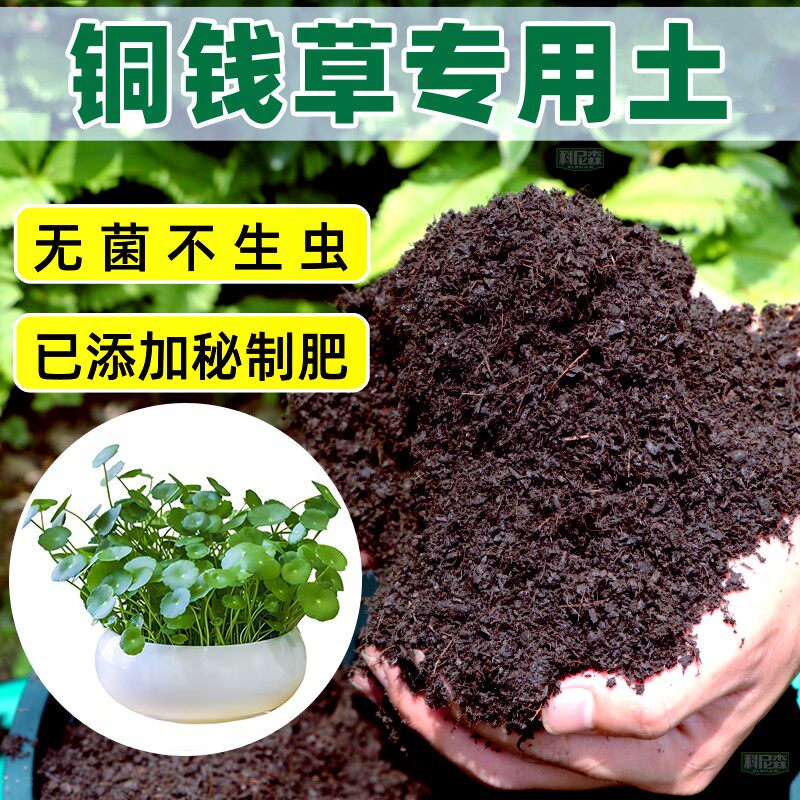 铜钱草专用土种花营养土家用盆栽绿植肥料土养花植物通用有机花土