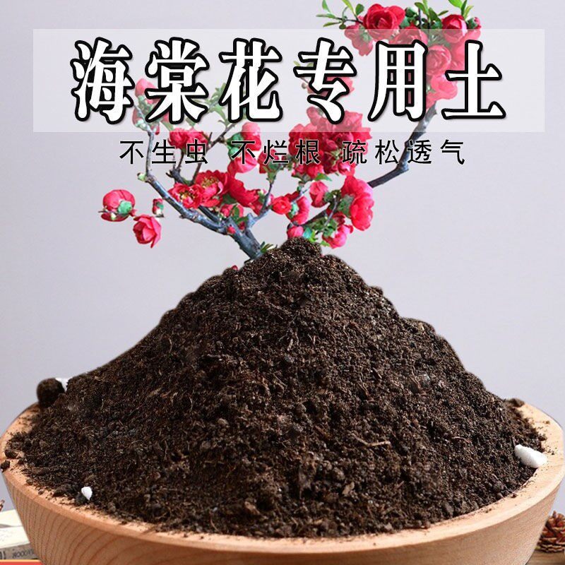 海棠花专用土海棠花专用营养土育苗花土土壤栽培土家庭阳台种花土
