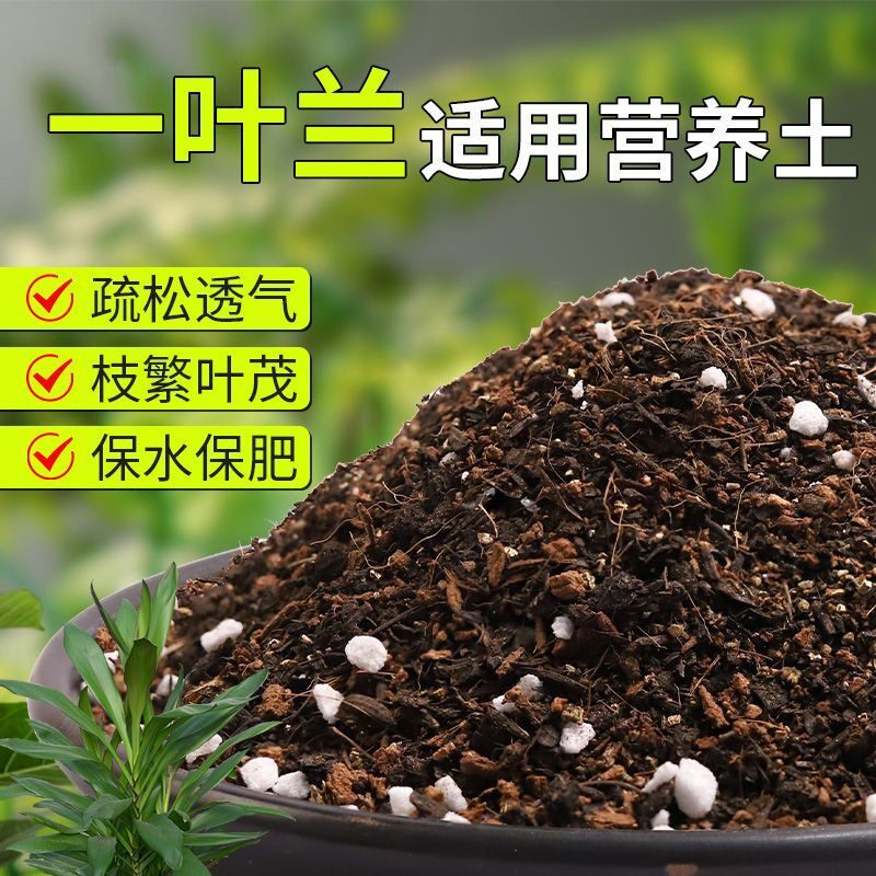 【一叶兰专用土】疏松透气盆栽绿植专用室内植物有机营养土肥料
