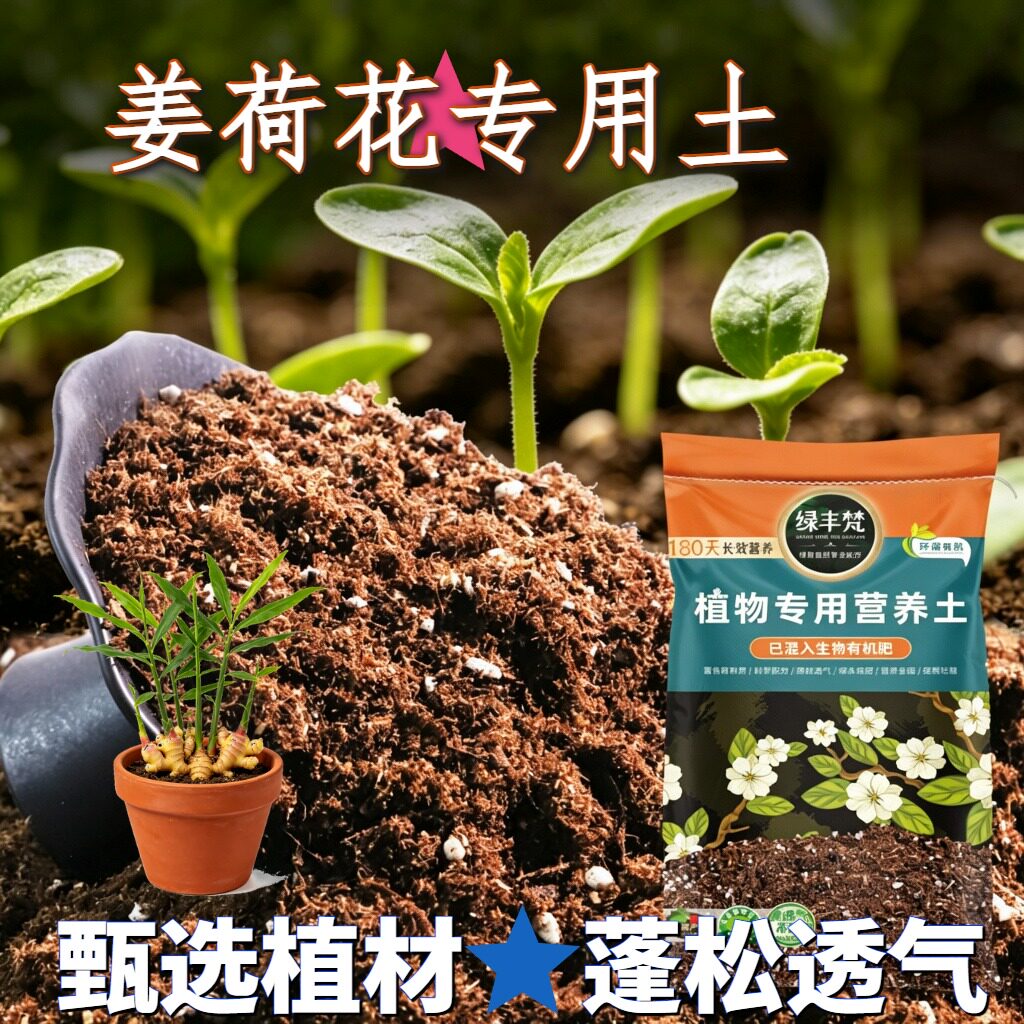 姜荷花专用轻质有机土营养土洁净基质促进透气试用装球根