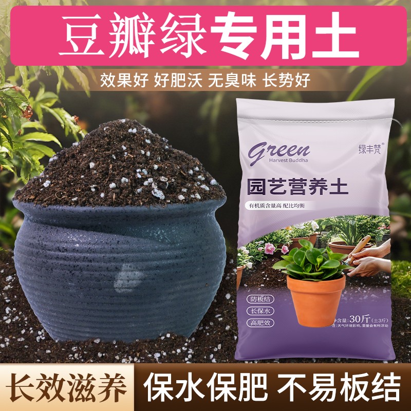 豆瓣绿适用轻质土不闷根园艺加深生根粉进口促生长观叶种菜土天然