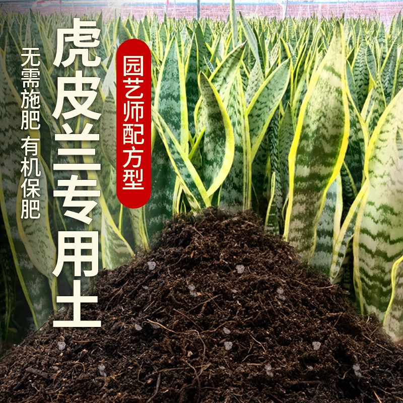 虎皮兰专用土盆栽土养花泥土家庭阳台种植土透气虎皮兰肥料营养土