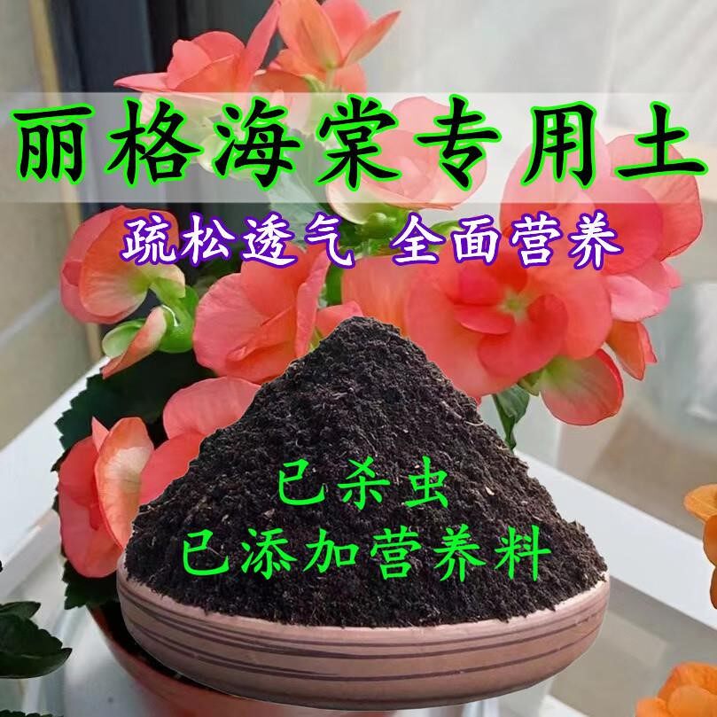 丽格海棠专用土丽格海棠土盆栽营养土酸性沙质泥碳土绿植种植肥料