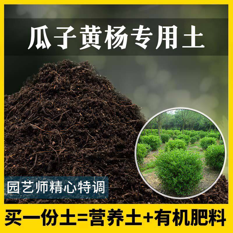 瓜子黄杨专用土家用养花有机土壤种植土黄杨营养土植物种花盆栽土