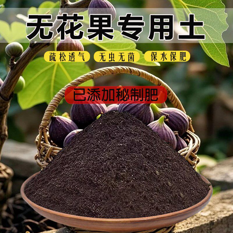 无花果专用土无花果专用营养土肥料土室内家用花卉土有机土种花土