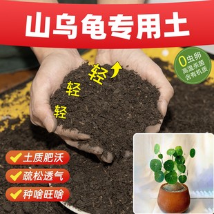山乌龟专用营养土防板结无虫卵疏松土壤通用型保水保肥透泥土园艺