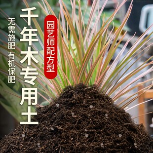 千年木专用土盆栽土养花土七彩铁种植土肥料透气泥土千年木营养土