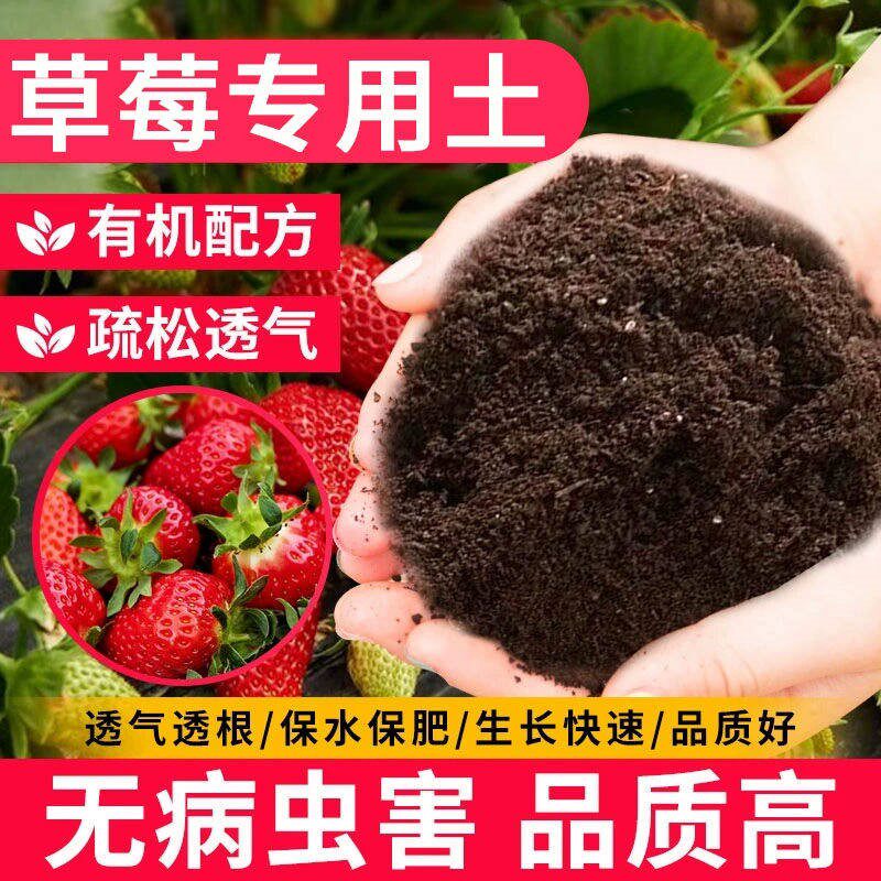 草莓专用土专用营养土阳台室内绿植盆栽通用草莓育苗基质种植泥土
