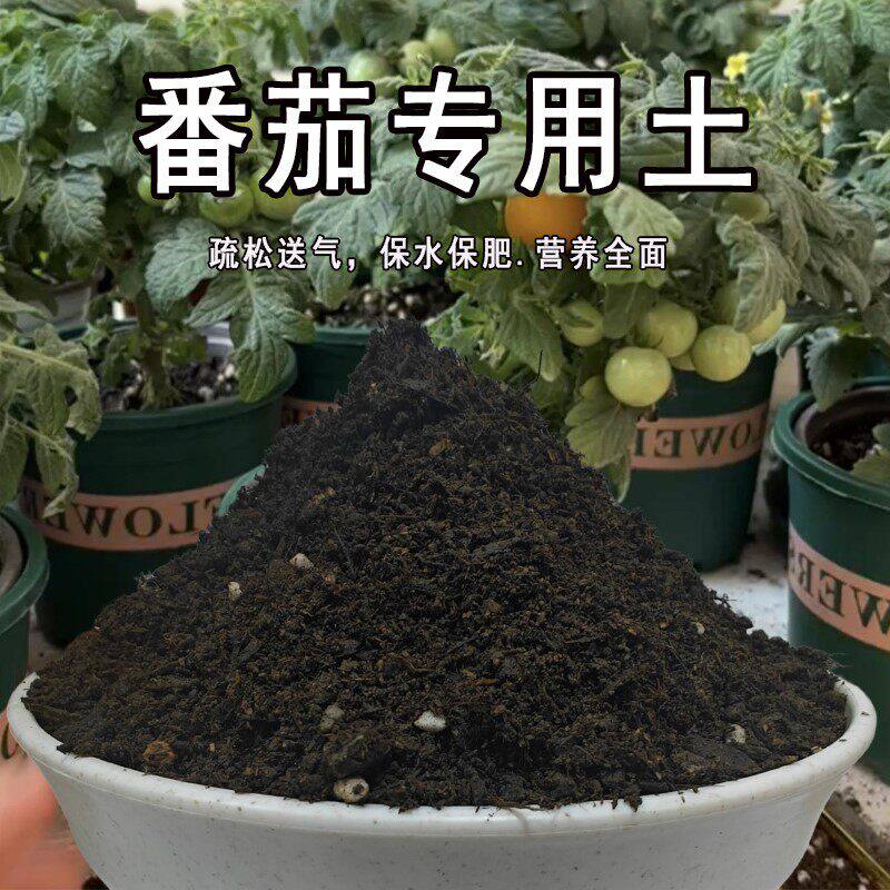 番茄专用土小西红柿营养土盆栽育苗有机土壤圣女果种植土专用肥料